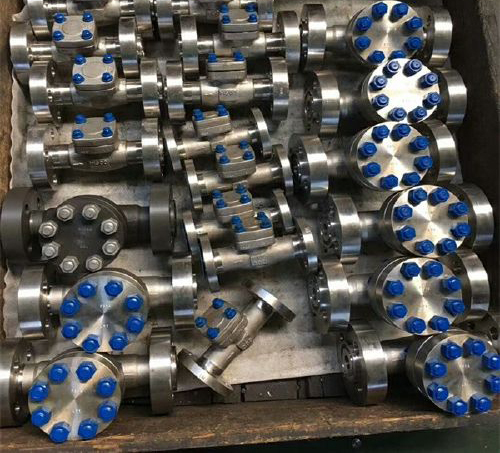 鈦法蘭(lán)旋啟式止回閥